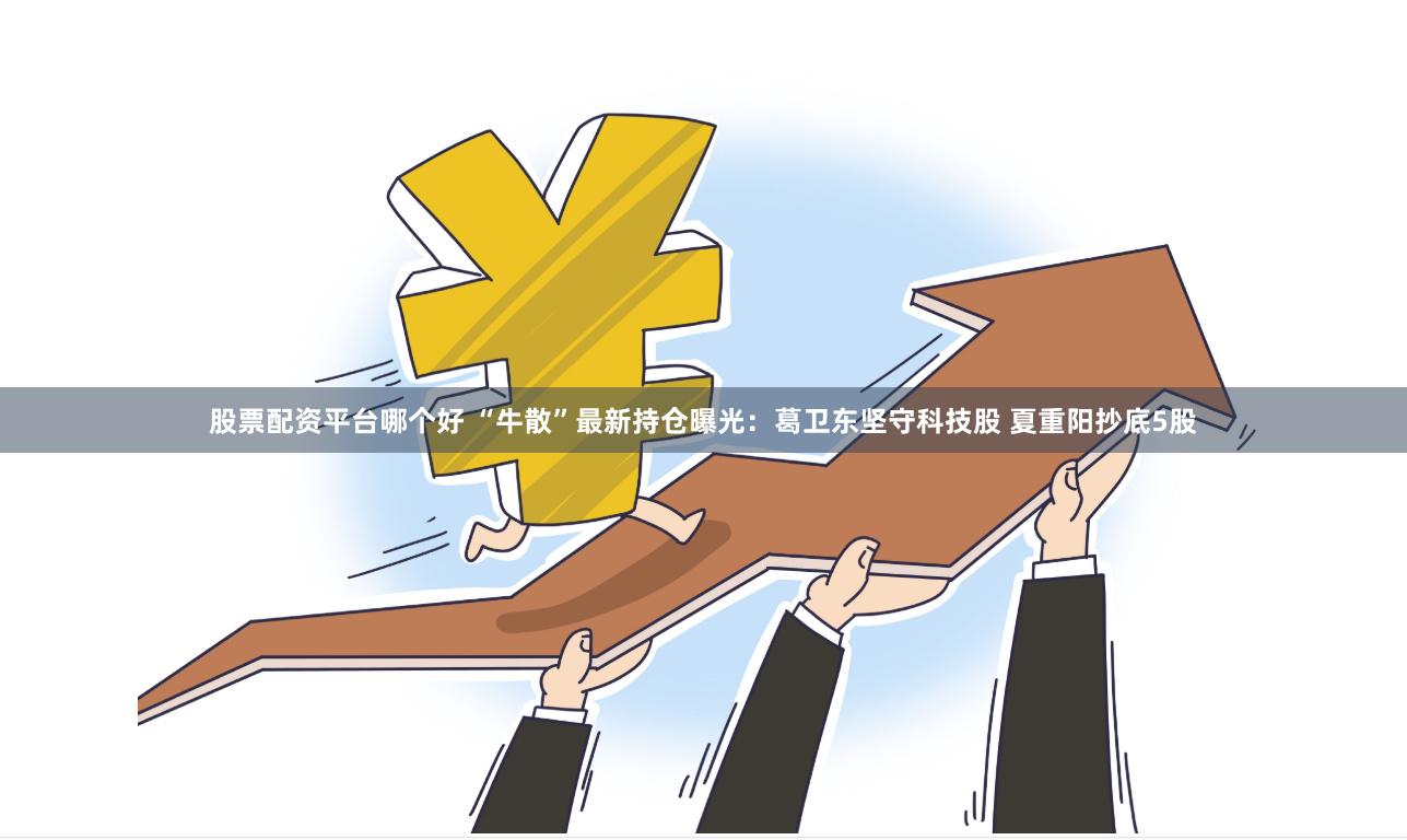 股票配资平台哪个好 “牛散”最新持仓曝光：葛卫东坚守科技股 夏重阳抄底5股