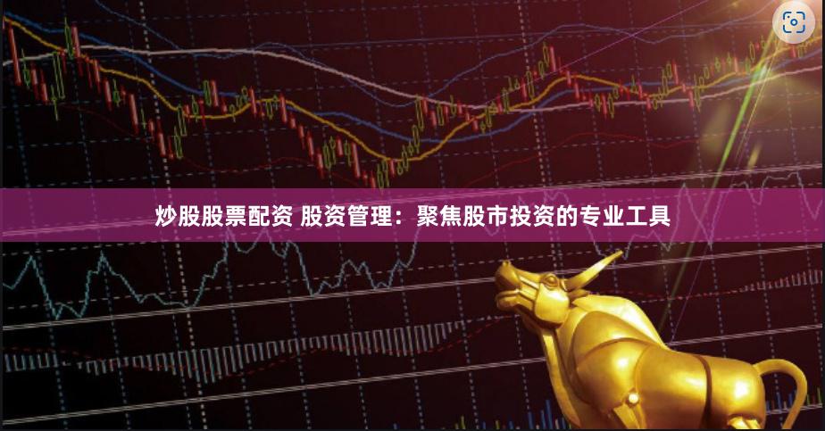 炒股股票配资 股资管理:聚焦股市投资的专业工具