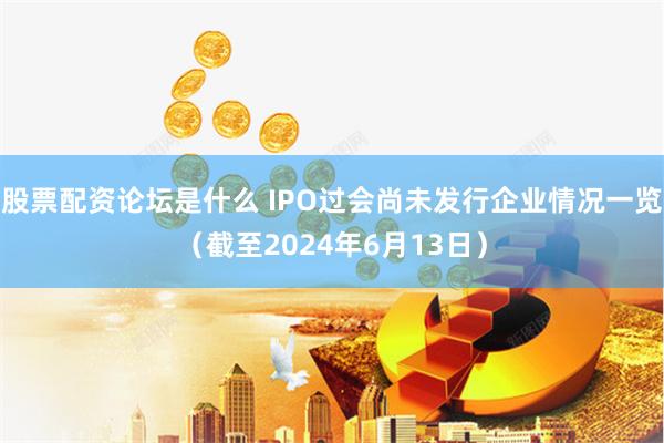 股票配资论坛是什么 IPO过会尚未发行企业情况一览（截至2024年6月13日）