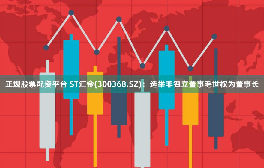 正规股票配资平台 ST汇金(300368.SZ)：选举非独立董事毛世权为董事长