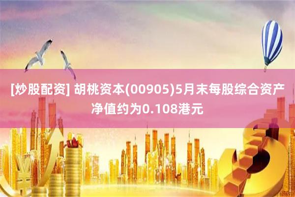 [炒股配资] 胡桃资本(00905)5月末每股综合资产净值约为0.108港元