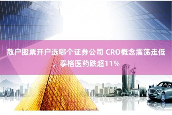 散户股票开户选哪个证券公司 CRO概念震荡走低，泰格医药跌超11%