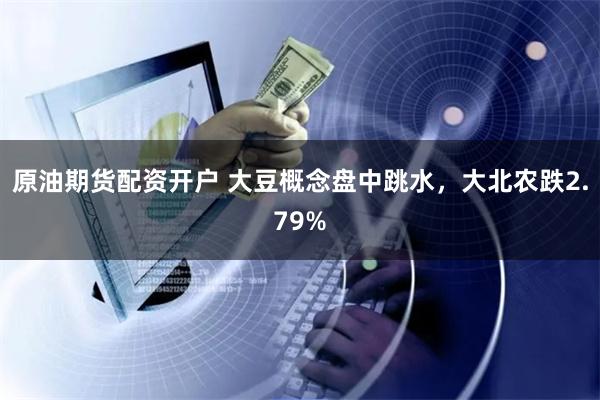 原油期货配资开户 大豆概念盘中跳水，大北农跌2.79%