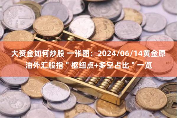 大资金如何炒股 一张图：2024/06/14黄金原油外汇股指＂枢纽点+多空占比＂一览